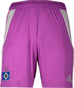 Hamburger SV Goalkeeper Shorts 2025/26