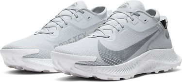 Tenisky a topánky Nike Pegasus Trail 2 GTX Šedá | dc1933-100, 4