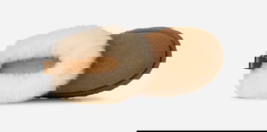 Tenisky a topánky UGG Tazzelle Slippers Hnedá | 1171393-CHE, 5