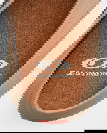 Tenisky a topánky Salomon RX Slide 3.0 Suede Hazelnut / Cement / Plum Kitten Béžová | L47431700, 6