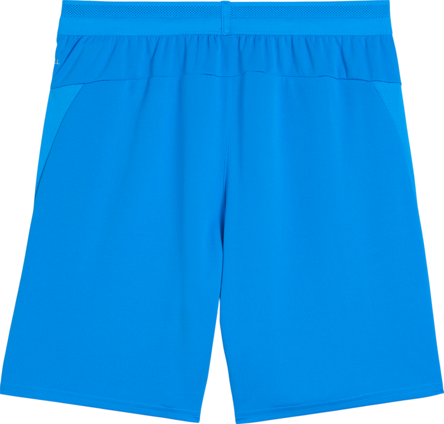 Šortky Puma teamCup Dry-Fit Mesh Performance Shorts Modrá | 706275-02, 1
