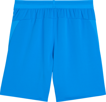Šortky Puma teamCup Dry-Fit Mesh Performance Shorts Modrá | 706275-02, 1