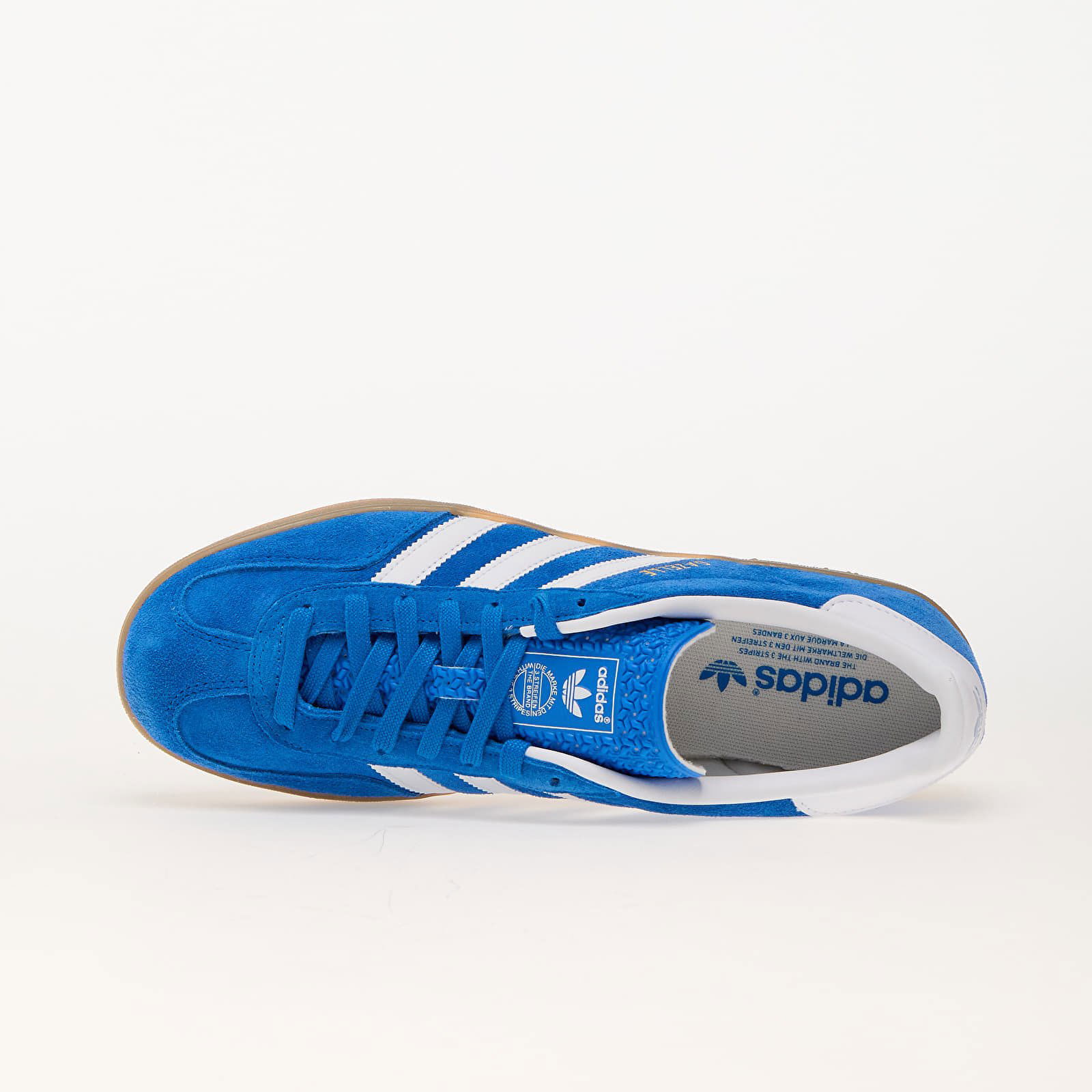 Gazelle Indoor