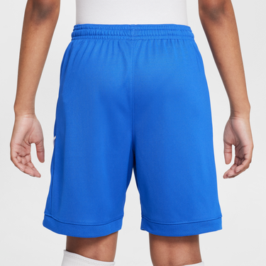Šortky Nike Dri-FIT Academy Shorts Modrá | HJ3718-480, 3