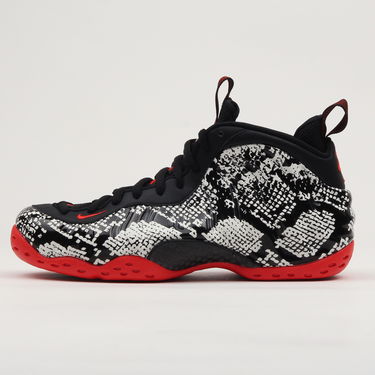 Tenisky a topánky Nike Air Foamposite One Čierna | 314996-101, 0