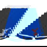 Mitchell & Ness Chicago Bulls NBA HWC Shorts