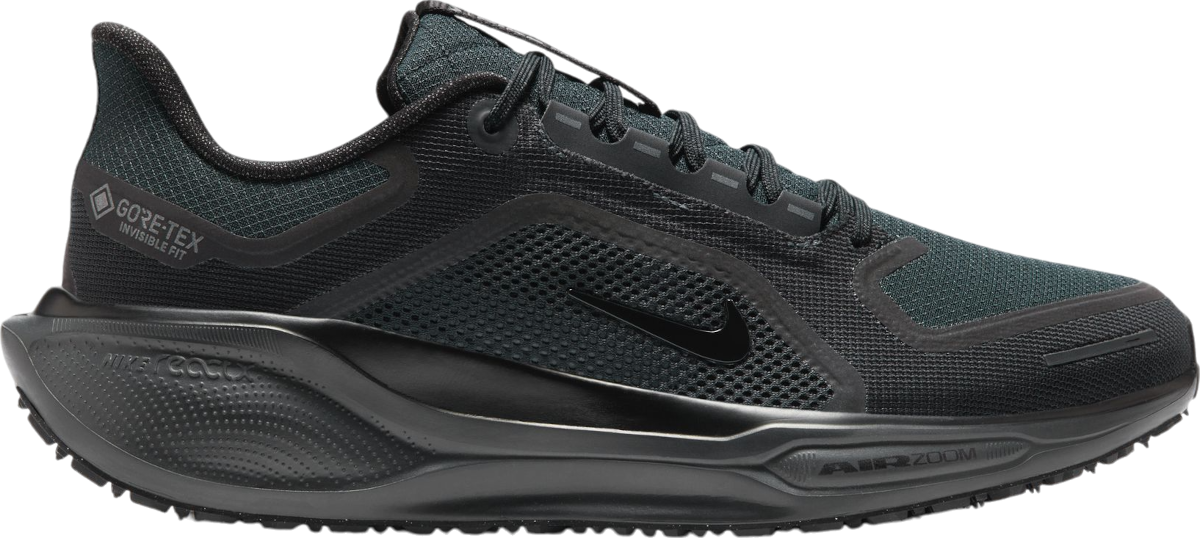 Tenisky a topánky Nike Pegasus 41 GORE-TEX Čierna | fq1356-001, 0