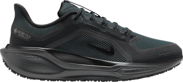Tenisky a topánky Nike Pegasus 41 GORE-TEX Čierna | fq1356-001, 0