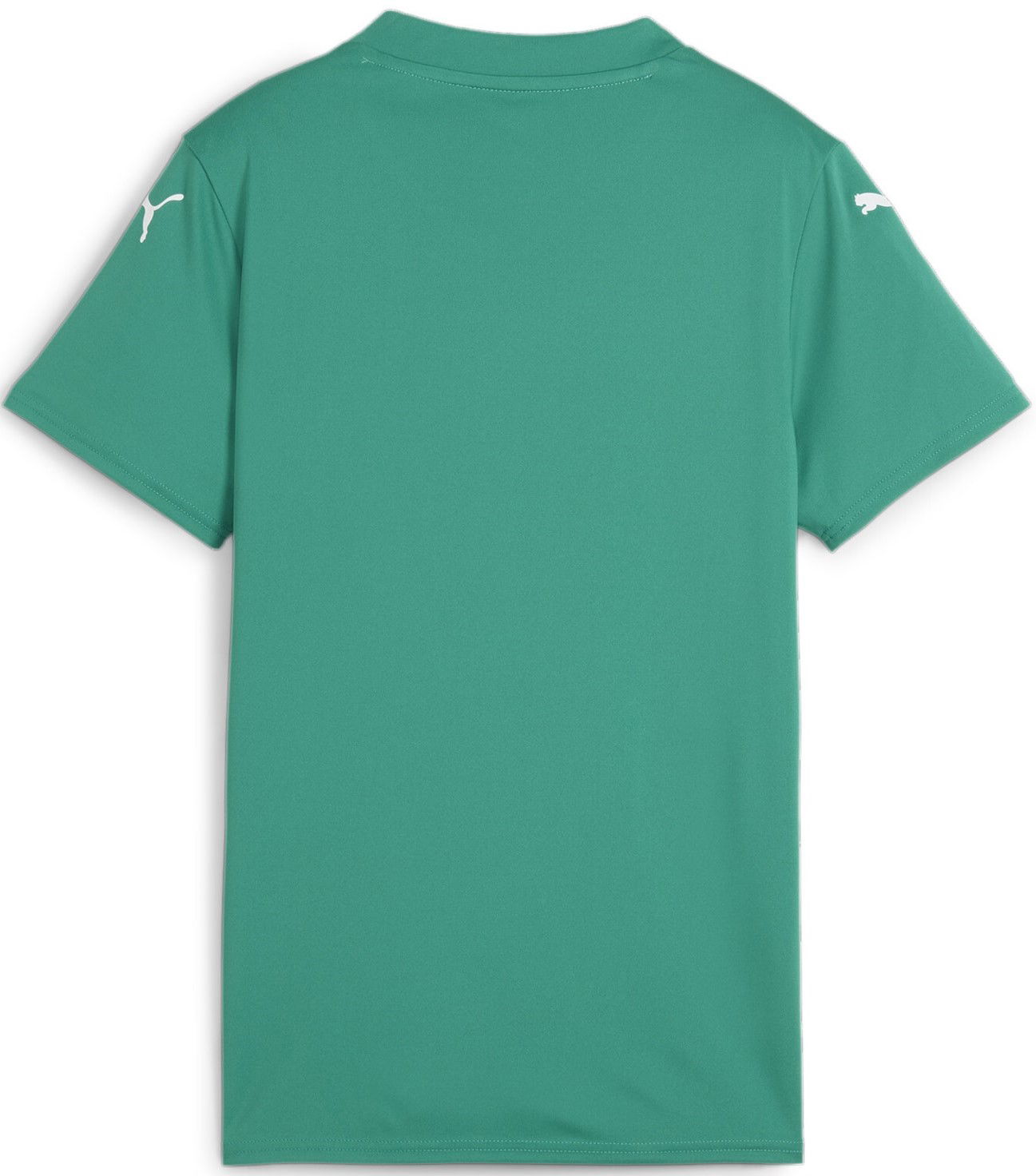 Dres Puma Glory Jersey T-shirt Zelené | 705742-05, 1
