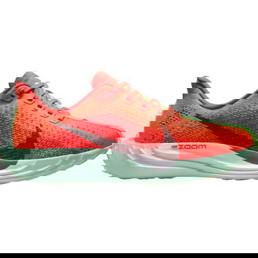 Tenisky a topánky Nike Pegasus Plus Červená | FQ7261, 0
