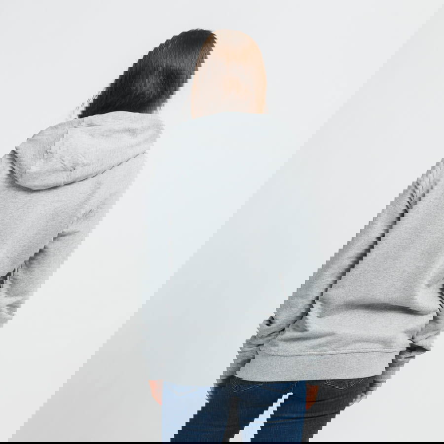 Mikina Helly Hansen Logo Hoodie Šedá | 33978 950, 1