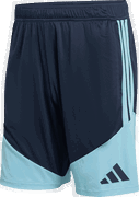 Argentina Tiro 26 Training Shorts