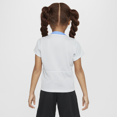Dres Nike Tottenham Hotspur Academy Pro Dri-FIT Short Sleeve T-Shirt Šedá | FQ0074-098, 3