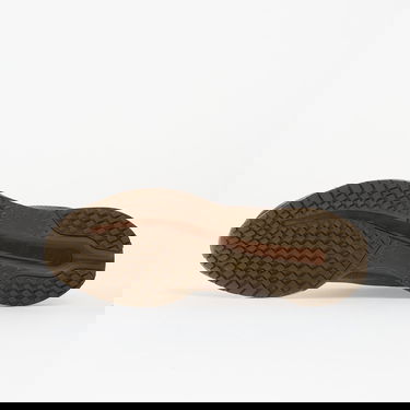 Tenisky a topánky Nike Pegasus Premium SP "Caldera Brown" Hnedá | IQ5691-200, 1