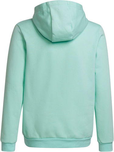 Mikina adidas Originals ENT22 Hoodie Zelené | hc5066, 1