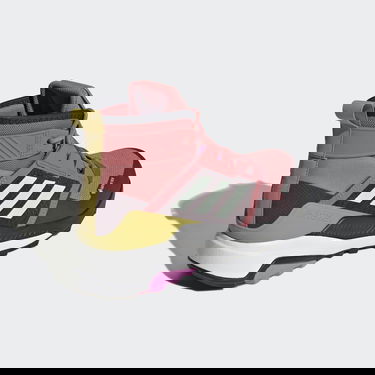 Tenisky a topánky adidas Performance Terrex Trailmaker Mid GTX Červená | GY6146, 1