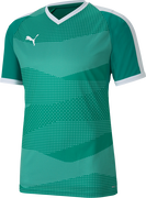 Graphic Short Sleeve Training Jersey teamFINAL Indoor