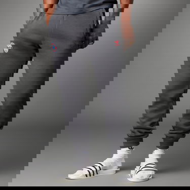 Tepláky adidas Performance FC Bayern Essentials Trefoil Pants Šedá | IL1033, 0