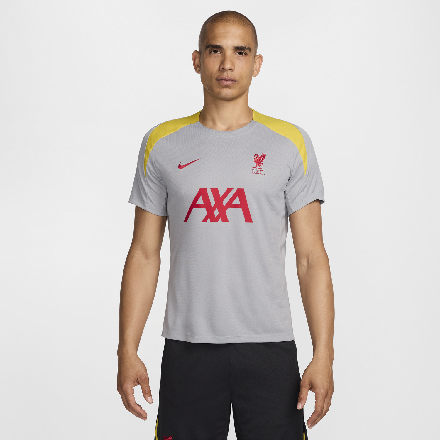 Tričko Nike Dri-FIT Liverpool FC St Šedá | FQ2611-078, 0