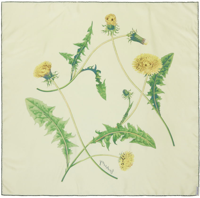 Dandelion Silk Scarf