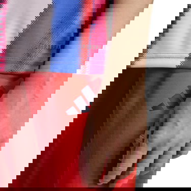 Dres adidas Originals FC Bayern Pre-Match 2025/26 Graphic T-Shirt Rôznofarebný | jz6261, 4