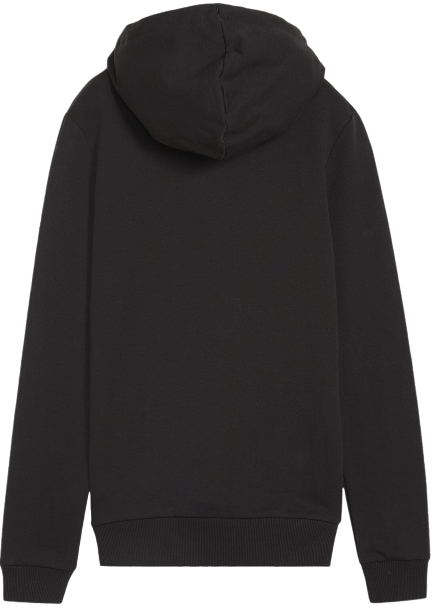 Mikina Puma teamGOAL Casuals Hoody Čierna | 658621-03, 1