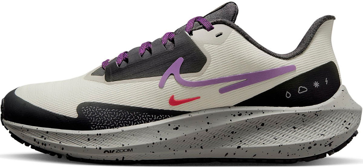 Air Zoom Pegasus 39