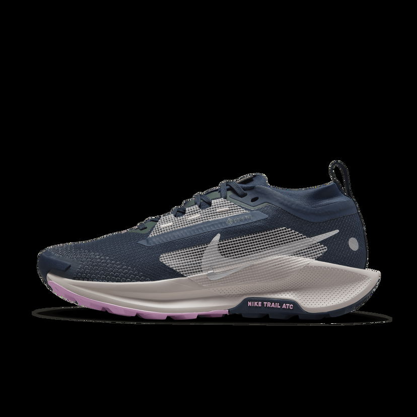 Tenisky a topánky Nike Pegasus Trail 5 GORE-TEX Modrá | FQ0912-400