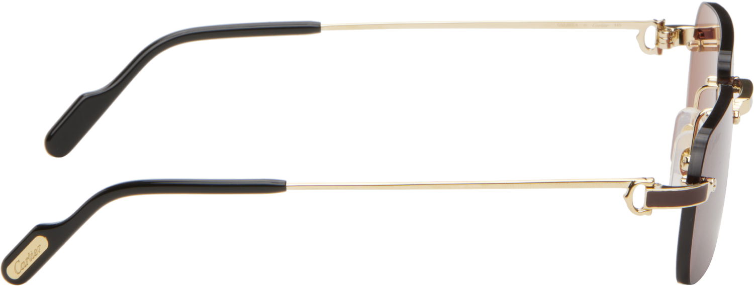 Slnečné okuliare Cartier Cartier 'Première de Cartier' Sunglasses Hnedá | CT0498S-002, 1