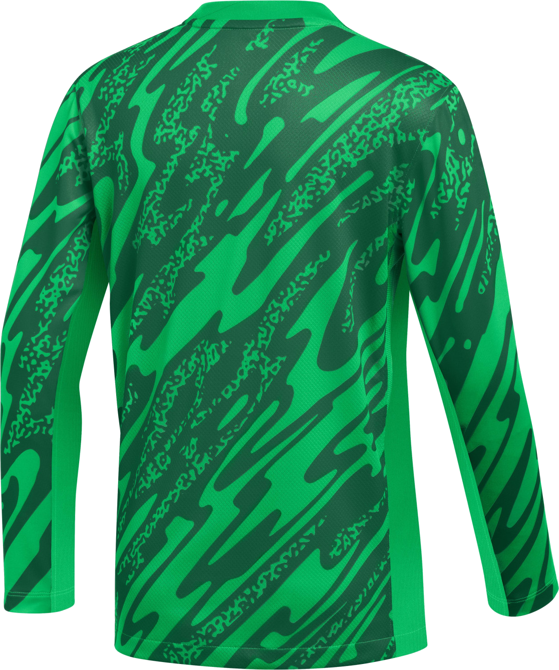 Dres Nike Nike Y NK DF Gardien V GK Long Sleeve Soccer Jersey Zelené | fd7480-329, 1