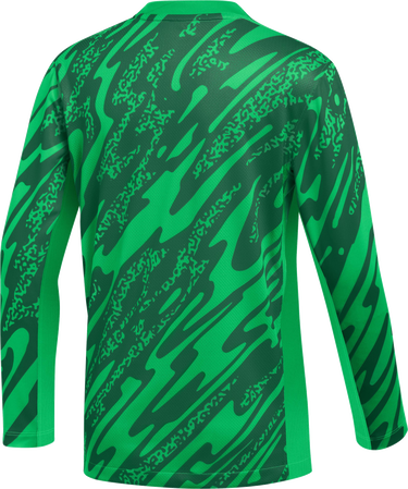 Dres Nike Nike Y NK DF Gardien V GK Long Sleeve Soccer Jersey Zelené | fd7480-329, 1
