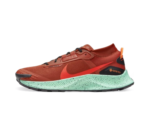 Bežecké topánky Nike Pegasus Trail 3 Oranžová | DC8793-800