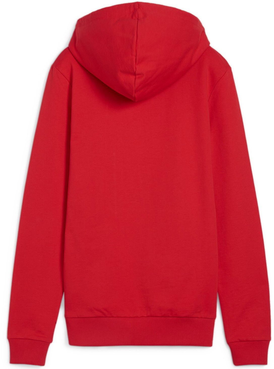 Mikina Puma teamGOAL Casuals Hoody Womens Červená | 658621-01, 1