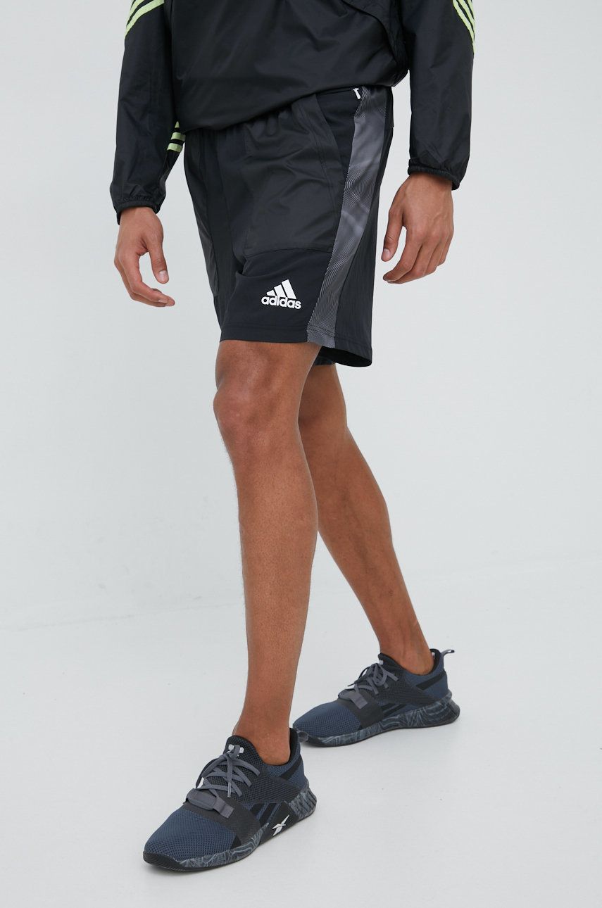 Season Shorts