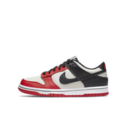 NBA x Dunk Low EMB "75th Anniversary - Chicago" GS