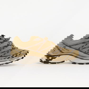 Tenisky a topánky Salomon Salomon XT-6 GTX Hnedá | L47975000, 2