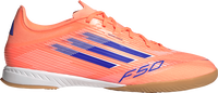 F50 Indoor League