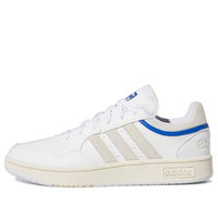 Hoops 3.0