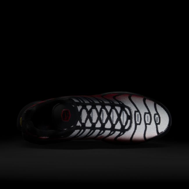 Tenisky a topánky Nike Air Max Plus Červená | DZ4507-600, 1