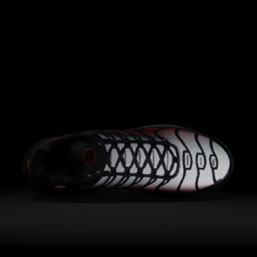 Tenisky a topánky Nike Air Max Plus Červená | DZ4507-600, 1
