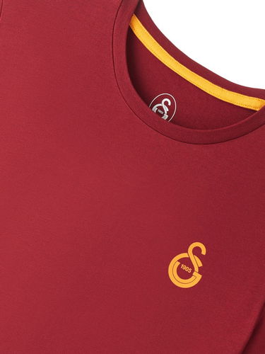 Tričko Puma Galatasaray Istanbul Logo T-Shirt Vínová | e251047-100, 2