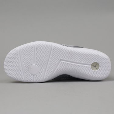 Tenisky a topánky Jordan Jordan Reveal ''Wolf Grey'' Šedá | 834064-003, 4