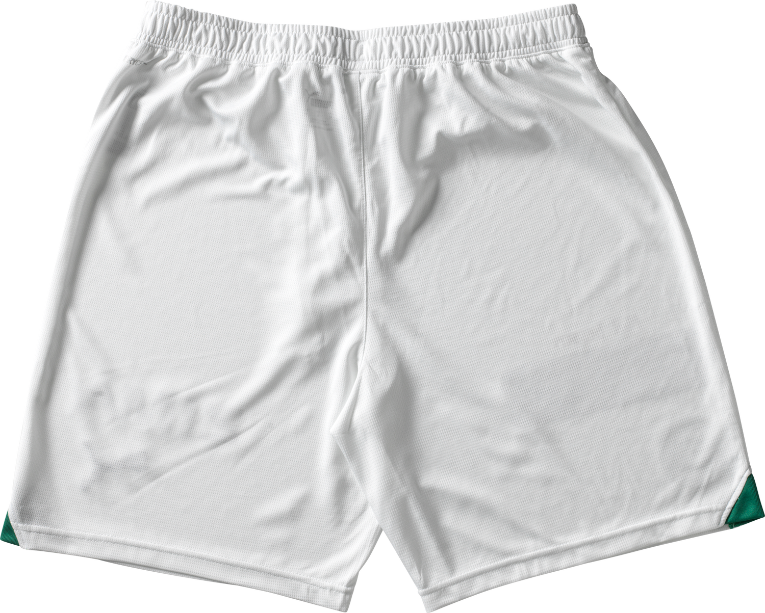 Šortky Puma FC St. Gallen Home Shorts 2023/2024 Biela | fcsg775631-001, 1