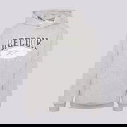 Classic Archive Essentials Hoodie