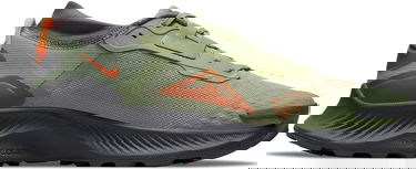 Tenisky a topánky Nike Pegasus Trail 3 GTX Zelené | do6728-300, 2