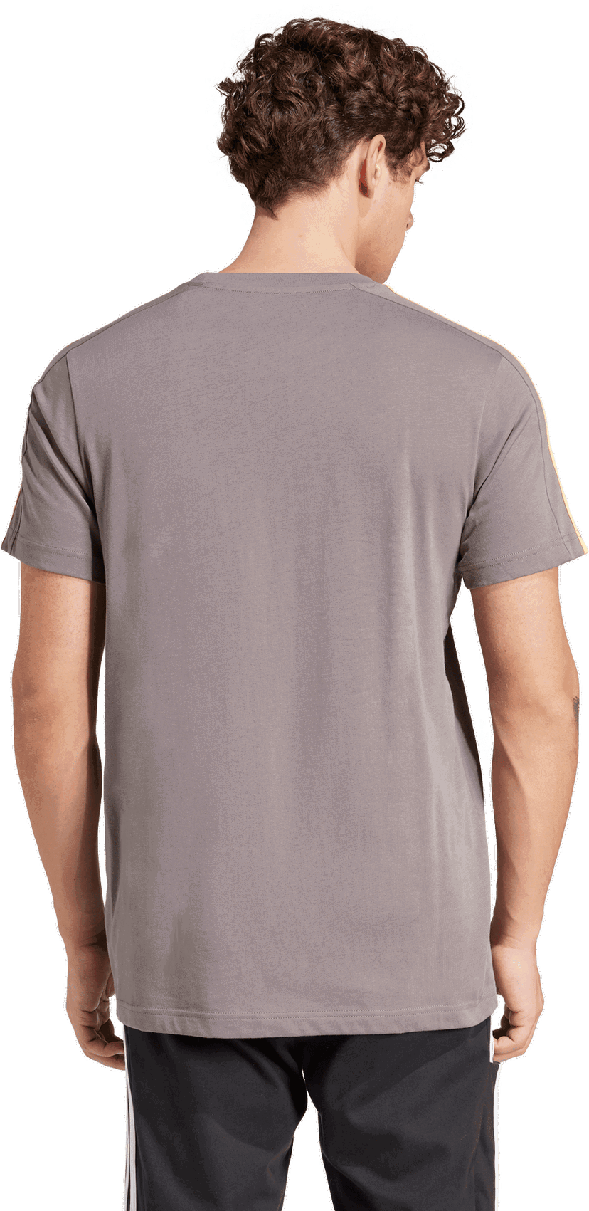 Tričko adidas Originals 3-Stripes Short Sleeve T-Shirt Šedá | IS1334