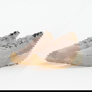 Tenisky a topánky adidas Performance Terrex Agravic Gtx W Béžová | JR1509, 5