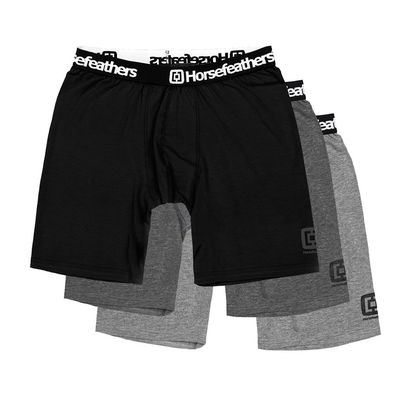 Šortky Horsefeathers Dynasty Long 3-Pack Boxer Shorts Assorted Rôznofarebný | AM195D