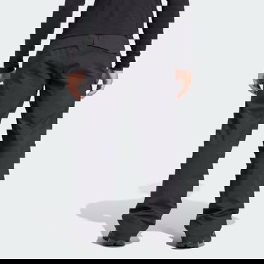 Nohavice adidas Performance Terrex Xperior Insulated Pants Čierna | JE6641, 1