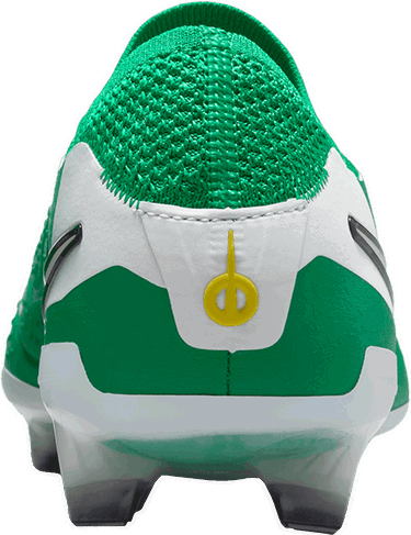 Tenisky a topánky Nike LEGEND 10 ELITE FG LV8 Zelené | hj7272-300, 4